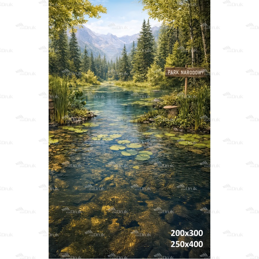 Tło fotograficzne „Górski potok – natura w Parku Narodowym” | 4123